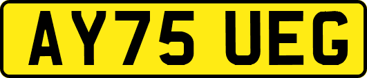 AY75UEG