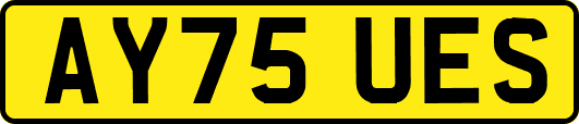 AY75UES