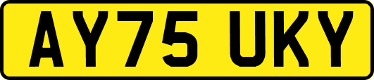 AY75UKY