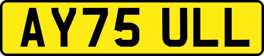 AY75ULL