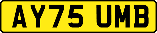AY75UMB