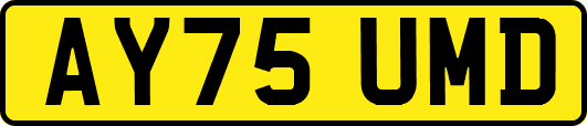 AY75UMD