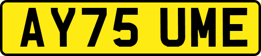 AY75UME