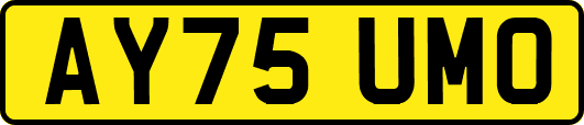 AY75UMO