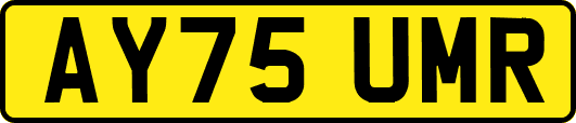 AY75UMR