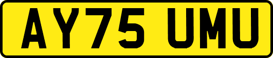 AY75UMU