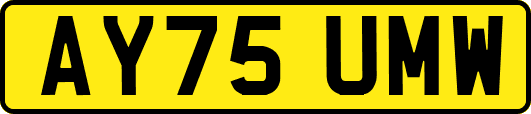 AY75UMW