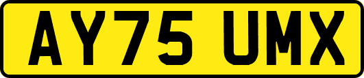 AY75UMX