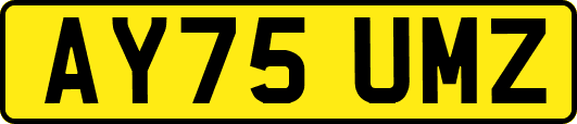 AY75UMZ