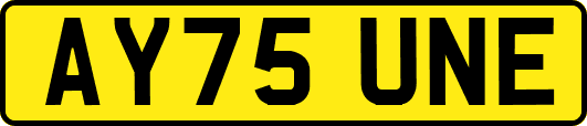 AY75UNE