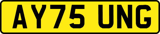 AY75UNG