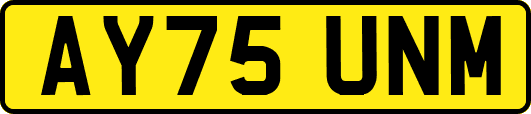 AY75UNM