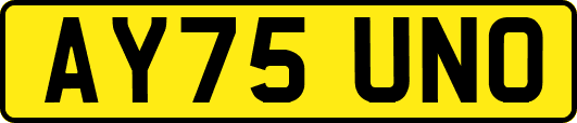 AY75UNO