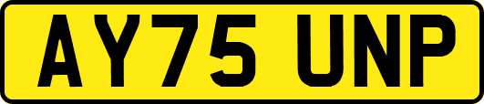 AY75UNP