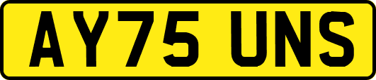 AY75UNS
