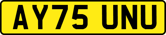 AY75UNU