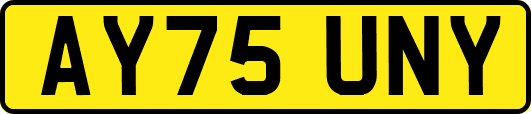 AY75UNY
