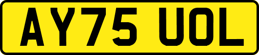 AY75UOL