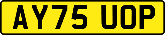 AY75UOP