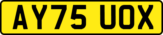 AY75UOX