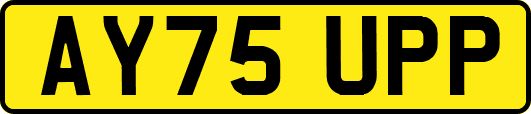 AY75UPP