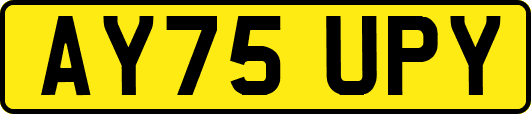 AY75UPY