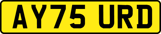 AY75URD