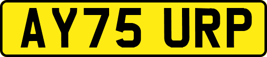 AY75URP