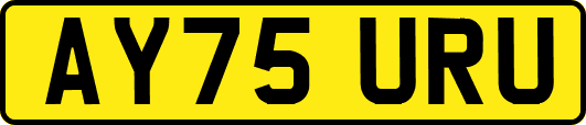 AY75URU