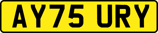 AY75URY