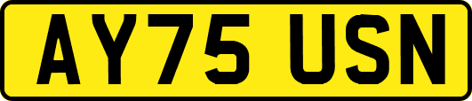 AY75USN