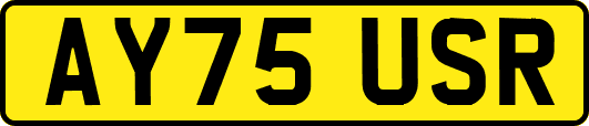AY75USR