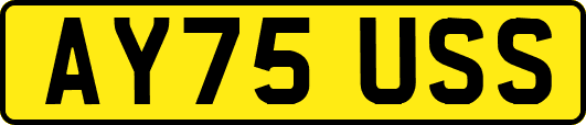 AY75USS