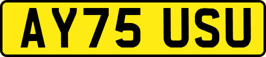 AY75USU