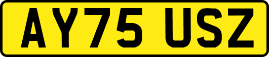 AY75USZ