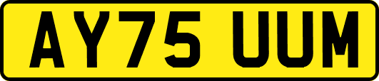AY75UUM