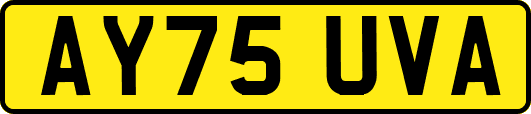 AY75UVA