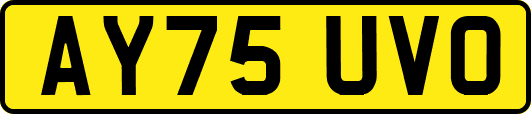 AY75UVO