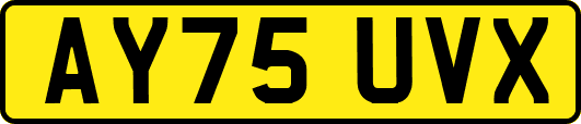 AY75UVX