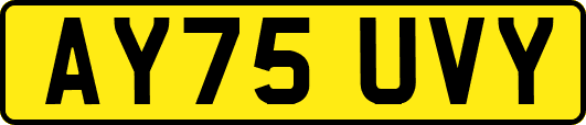 AY75UVY