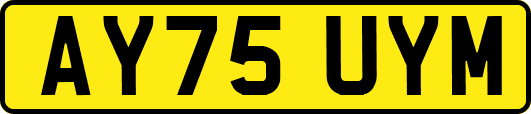 AY75UYM