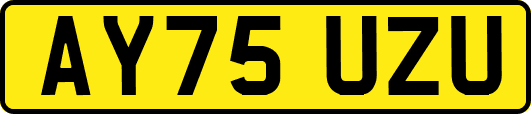 AY75UZU