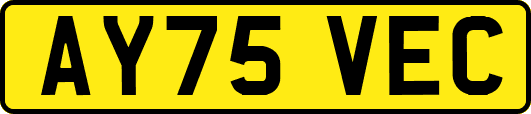 AY75VEC