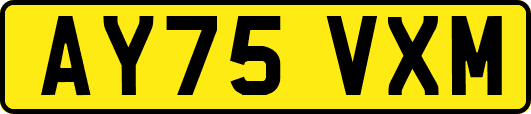 AY75VXM