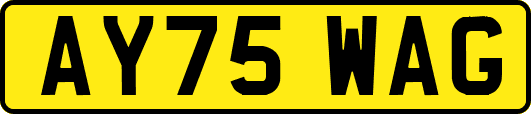 AY75WAG