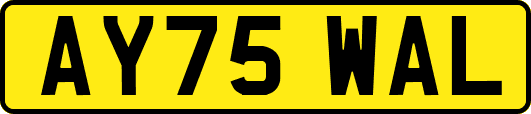 AY75WAL