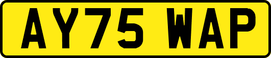 AY75WAP
