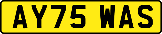 AY75WAS