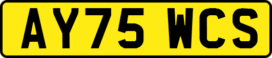 AY75WCS