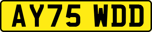 AY75WDD